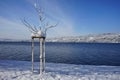 Lower part of Lake Constance seen from the freshly snow-covered shore of Steckborn in Switzerland