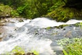 Lower part of Mac Lean Falls in the Catlins