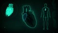 Function of Right Atrium of Human Heart