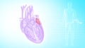 Function of Left Atrium of Human Heart