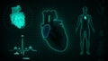 Function of Right Atrium of Human Heart