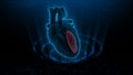 Function of Left Ventricle of Human Heart Royalty Free Stock Photo