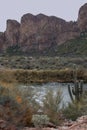 Salt River Cliffs and Saguaro