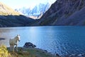 The lower shavlinskoe lake and white horse