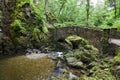 Lower stone bridge at Aira Force.