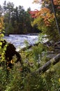 Lower Tahquamenon Falls  800314 Royalty Free Stock Photo