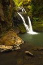 Lower Wolf creek waterfall located outside of Glide, OR. Royalty Free Stock Photo