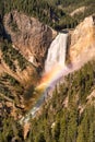 Lower Yellowstone Falls rainbow Royalty Free Stock Photo