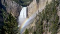 Lower yellowstone falls and a rainbow from red rock point in yellowstone Royalty Free Stock Photo