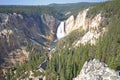 Lower Yellowstone Falls