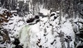 Lower Yellowstone Falls in Winter Royalty Free Stock Photo