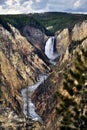 Lower Yellowstone Falls in Yellowstone National Park, Wyoming