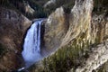 Lower Yellowstone Falls in Yellowstone National Park, Wyoming