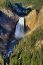 Lower Yellowstone Falls, Yellowstone NP