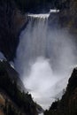 Lower Yellowstone Waterfall Falls in Canyon National Park Royalty Free Stock Photo