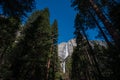 Lower Yosemite Falls