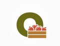 lowercase letter o with apple crate. creative fruit alphabet logo. gardening and harvest design