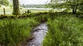 Loweswater, English Lake District, Cumbria, England. Royalty Free Stock Photo