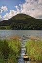 Loweswater and reeds