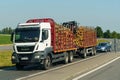 Exporting timber by highway on a timber truck with a trailer full of logs. Royalty Free Stock Photo