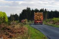 Lowland logging, Galloway, Scotland Royalty Free Stock Photo