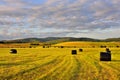 Lowland Scottish landscape Royalty Free Stock Photo