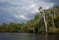 Loxahatchee River