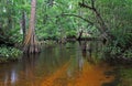 Loxahatchee River