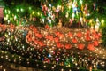 Loy Krathong festival at Wat Pan Tao