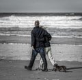 Loyal Dachshund with couple, walking on beach