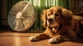 loyal dog and fan Royalty Free Stock Photo