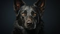 A loyal German Shepherd puppy, sitting indoors, looking at camera generated by AI