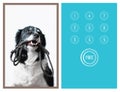 Loyalty Card Designed for Petshop, Veterinary Clinics, Pet Salons etc. Portrait of Cute Border Collie Holding a leash