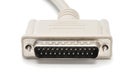 LPT parallel port cable and plug on white background