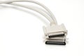 LPT parallel port cable and plug on white background