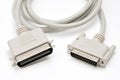 LPT parallel port cable and plug on white background