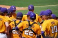 LSU Baseball Huddle