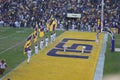 LSU Game