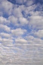 ltocumulus Cloud Sky Royalty Free Stock Photo