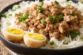 Lu Rou Fan Taiwanese Braised Pork Rice Bowl Ground pork served on top of steamed rice close-up in a plate. horizontal Royalty Free Stock Photo