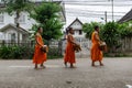 Novice Buddhist monks collect alms in Luang Prabang, Laos Royalty Free Stock Photo