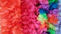 Luau leis Royalty Free Stock Photo