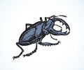 Lucanus cervus. Vector drawing Royalty Free Stock Photo