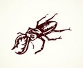 Lucanus cervus. Vector drawing Royalty Free Stock Photo