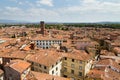 Lucca Guinigi tower view Royalty Free Stock Photo