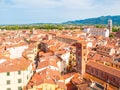 Lucca summer skyline with St Martin Cathedral and bell towers, Tuscany, Italy Royalty Free Stock Photo