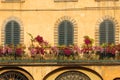 Lucca, three closed windows