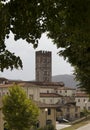 Lucca tower and buildings