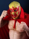 Luchador portrait Royalty Free Stock Photo