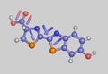 Luciferin molecular model